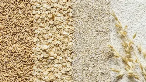 Premium Oats Exporter to UK | Bulk Oats Supplier from India
